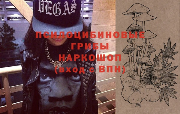 МДПВ Майский