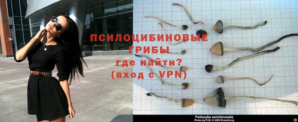 МДПВ Майский