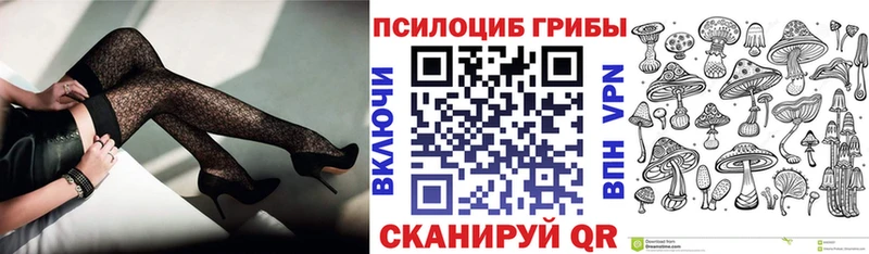 купить закладку  omg ТОР  Псилоцибиновые грибы GOLDEN TEACHER  Новохопёрск 